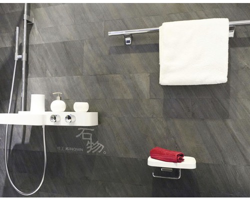 Salle de bain avec douche, porte-serviettes et étagères pour accessoires de bain