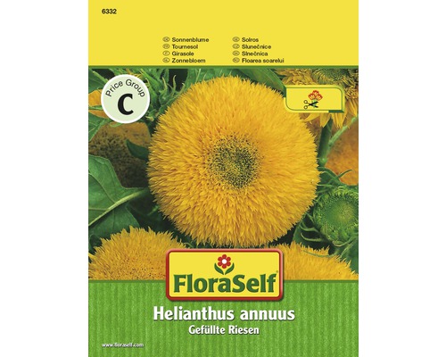 Tournesol 'Gefüllte Riesen' FloraSelf semences non-hybrides graines de fleurs Graines de tournesol géantes farcies de FloraSelf