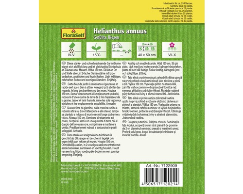 Paquet de graines de fleurs Helianthus annuus Gefüllte Riesen