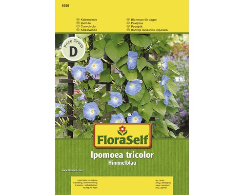 Ipomée tricolore 'Bleu ciel' FloraSelf semences non-hybrides graines de fleurs Paquet de gloire du matin ''Himmelblau''