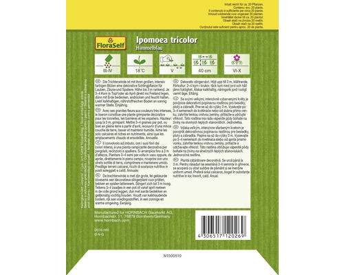 Paquet de graines de volubilis bleu ciel de FloraSelf