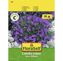 Lobélie 'Empereur Guillaume' FloraSelf semences non-hybrides graines de fleurs-thumb-0