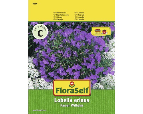 Lobélie 'Empereur Guillaume' FloraSelf semences non-hybrides graines de fleurs-0