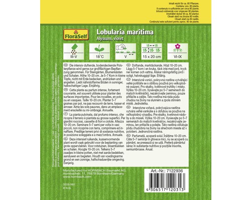 FloraSelf Lobularia maritima Alyssum, violette Samensamenpackung