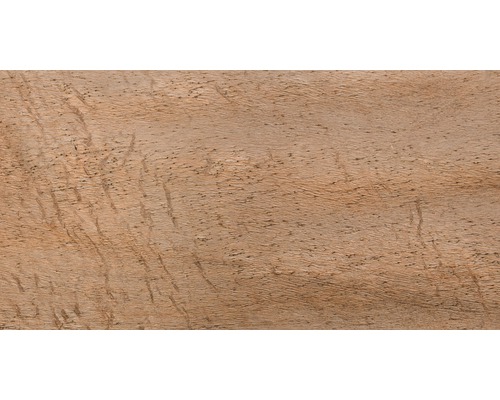 Nahaufnahme einer Holzoberfläche mit Maserung