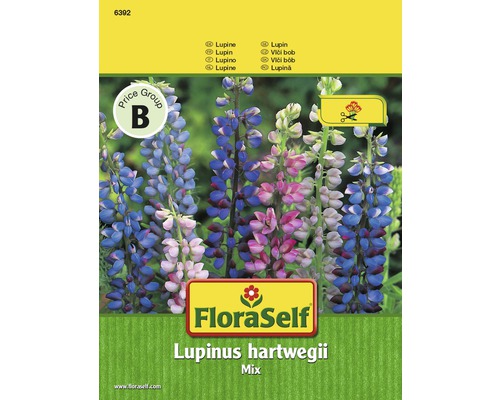 Lupin 'Mix' FloraSelf semences non-hybrides graines de fleurs