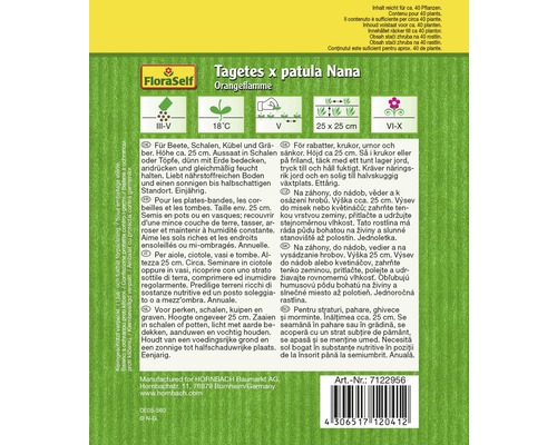 Samenpackung Tagetes x patula Nana Orangeflamme für Beete, Schalen und Gräber