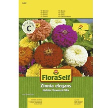 FloraSelf Zinnia elegans Dahlienblütige Mischung Samenpackung