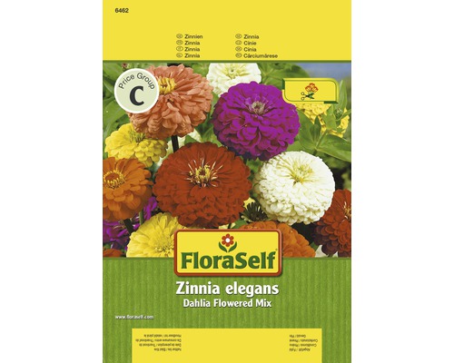 FloraSelf Zinnia elegans Dahlienblütige Mischung Samenpackung
