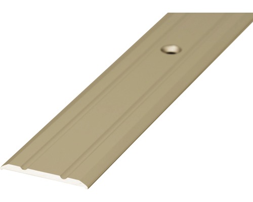 Barre de seuil aluminium acier inoxydable mat perforé 25 x 1000 mm