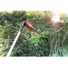 Teleskop Heckenschere im Einsatz zum Schneiden von Büschen