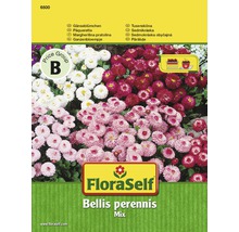 Pâquerette 'Mix' FloraSelf semences non-hybrides graines de fleurs-thumb-0