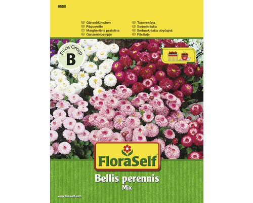 Pâquerette 'Mix' FloraSelf semences non-hybrides graines de fleurs