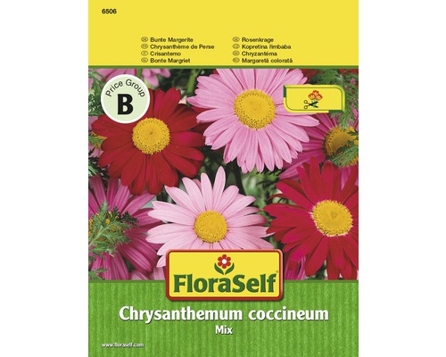 Marguerite 'Mix' FloraSelf semences non-hybrides graines de fleurs