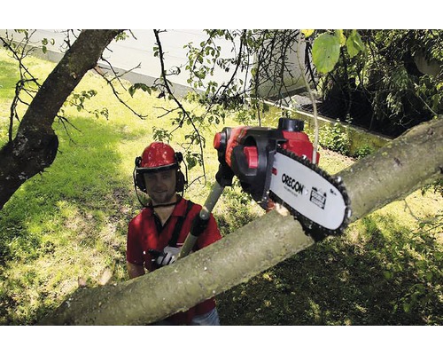 Mann schneidet Baum mit einer Hochentaster Säge