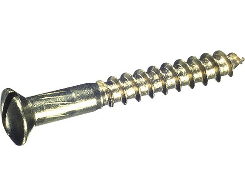 Vis à bois à tête fraisée bombée avec fente DIN 95 4x25 mm laiton chromé, 200 pièces Vis à bois à tête fraisée bombée avec fente DIN 95 4x25 mm laiton chromé, 200 pièces