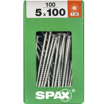 Paquet de 100 vis, 5 x 100 millimètres, avec entraînement Torx T20