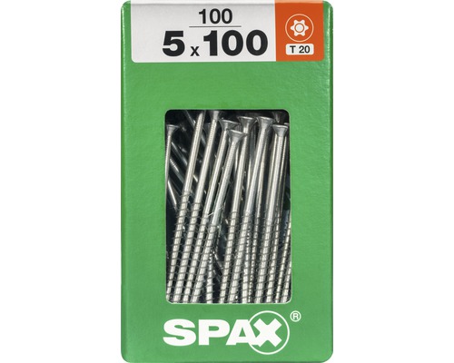 Paquet de 100 vis, 5 x 100 millimètres, avec entraînement Torx T20