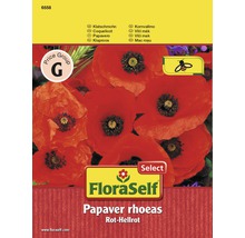 Coquelicot 'Rouge-rouge clair' FloraSelf semences non-hybrides graines de fleurs-thumb-0