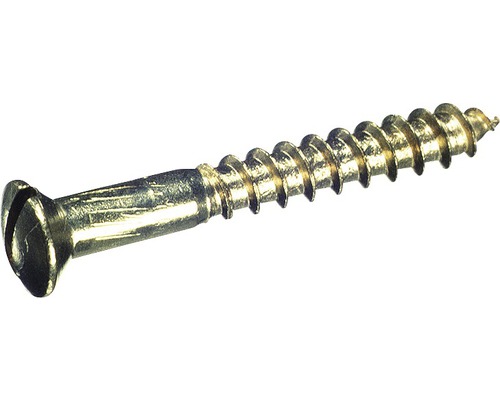 Vis à bois à tête fraisée bombée avec fente DIN 95 5x50 mm laiton chromé, 200 pièces Vis à bois à tête fraisée bombée avec fente DIN 95 5x50 mm laiton chromé, 200 pièces
