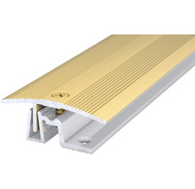 Profilé de transition en aluminium avec vis