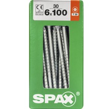 Vis Spax 6x100 millimètres dans une boîte