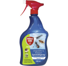 Insektenspray gegen Ungeziefer und Ameisen in einer 1000-ml-Sprühflasche