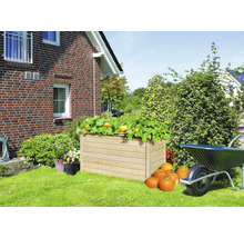 Jardinière en bois avec plants de courges et courges dans le jardin