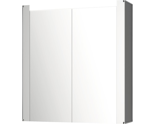 Armoire de salle de bain avec deux portes