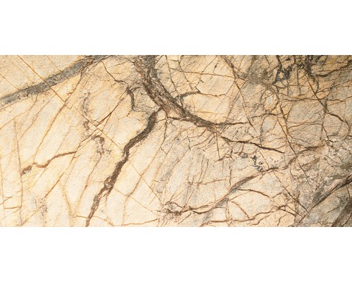 Nahaufnahme einer Steinplatte mit Rissmuster