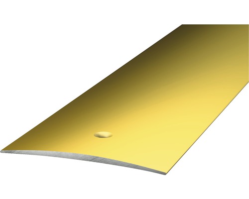 Prinz Übergangsprofil Alu gold gelocht 50 x 1000 mm Goldfarbene Übergangsschiene für Bodenbeläge
