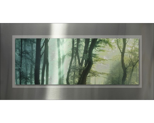 Metallbild Trees & Sun 100x50 cm Wandbild mit Waldmotiv und silberfarbenem Rahmen