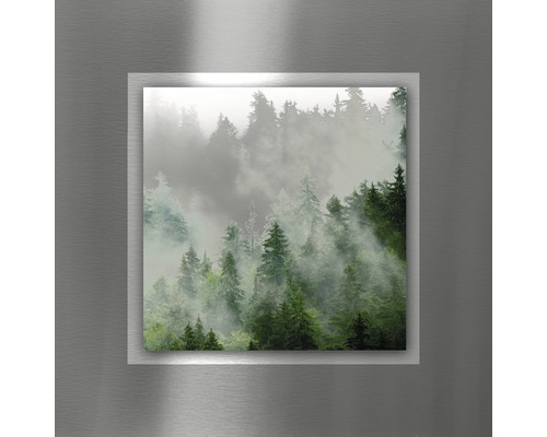 Tableau mural avec motif de forêt et brouillard