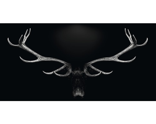 Metallbild Grey Deer Head 200x100 cm Hirschgeweih auf dunklem Hintergrund