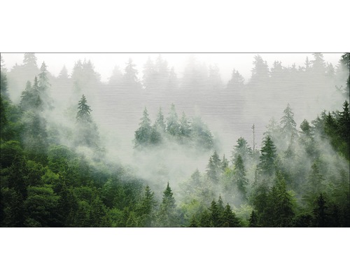 Metallbild Forest Feeling I 200x100 cm Nebelwald Tapete mit Baum Motiven