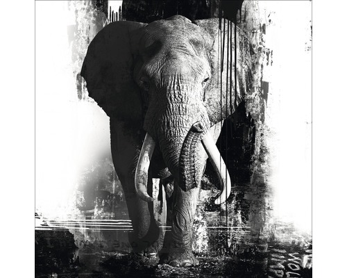 Œuvre originale Handpainting Elephant 100x100 cm