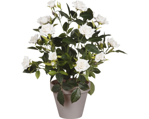 Fleur artificielle Rose Ø 25 cm, blanc