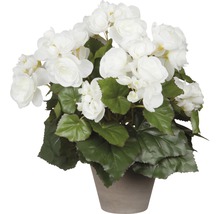 Fleur artificielle Bégonia, blanc-thumb-0