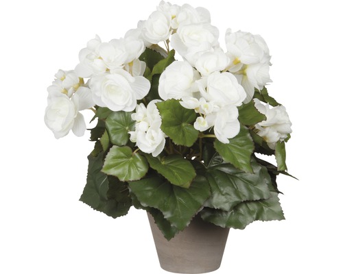 Fleur artificielle Bégonia, blanc
