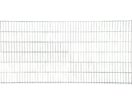 Clôture à grillage double 8/6/8 251 x 163 cm, vert-0