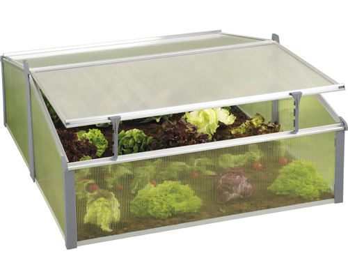 Mini-serre double JUWEL Komfort Easy Fix 120 x 100 x 40 cm Châssis de culture avec plants de salade