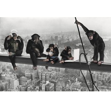 Illustration de singes assis sur une poutre en acier au-dessus d''une ville, utilisant des écouteurs, une cigarette, un smartphone et un ordinateur portable