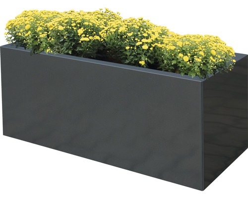 Bac à plantes Palatino Lotte métal 120 x 40 x 50 cm anthracite Jardinière rectangulaire avec fleurs jaunes