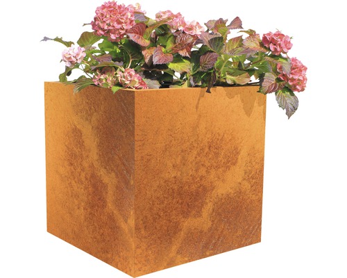 Bac à plantes Palatino Nora acier Corten 60x60x60 cm rouille Jardinière carrée en métal avec des plantes