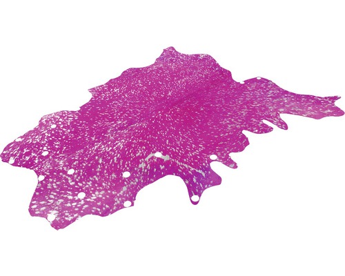 Peau de vache teinte en rose avec motif tacheté