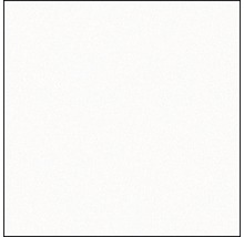Schiebegardine uni weiß 60x245 cm kürzbar