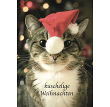 Carte de Noël avec chat et bonnet de Père Noël