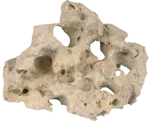 Lochgestein für Aquarien