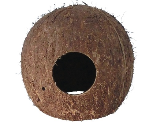 Caverne noix de coco Taille 2 10 x 10 cm