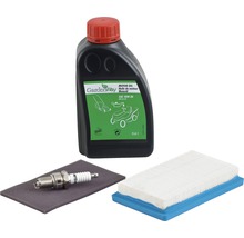 Service Kit für MTD Thorx